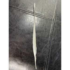 RARE Twisted 8.5” Long Albino Indian Ringneck Tail Feather White Craft Magic